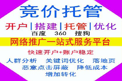 SEM推广案例：提升网站转化率策略解析